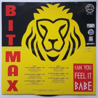 Bit-Max - Can You Feel It Babe • Remix • 12" Vinyl Maxi - Labyrinth Music