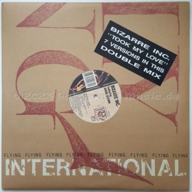 Bizarre Inc Feat. Angie Brown - Took My Love • 12" Vinyl Maxi - Labyrinth Music