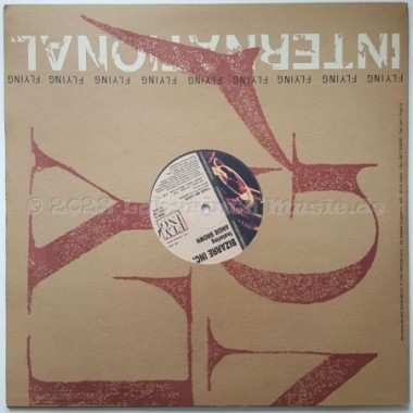 Bizarre Inc Feat. Angie Brown - Took My Love • 12" Vinyl Maxi - Labyrinth Music