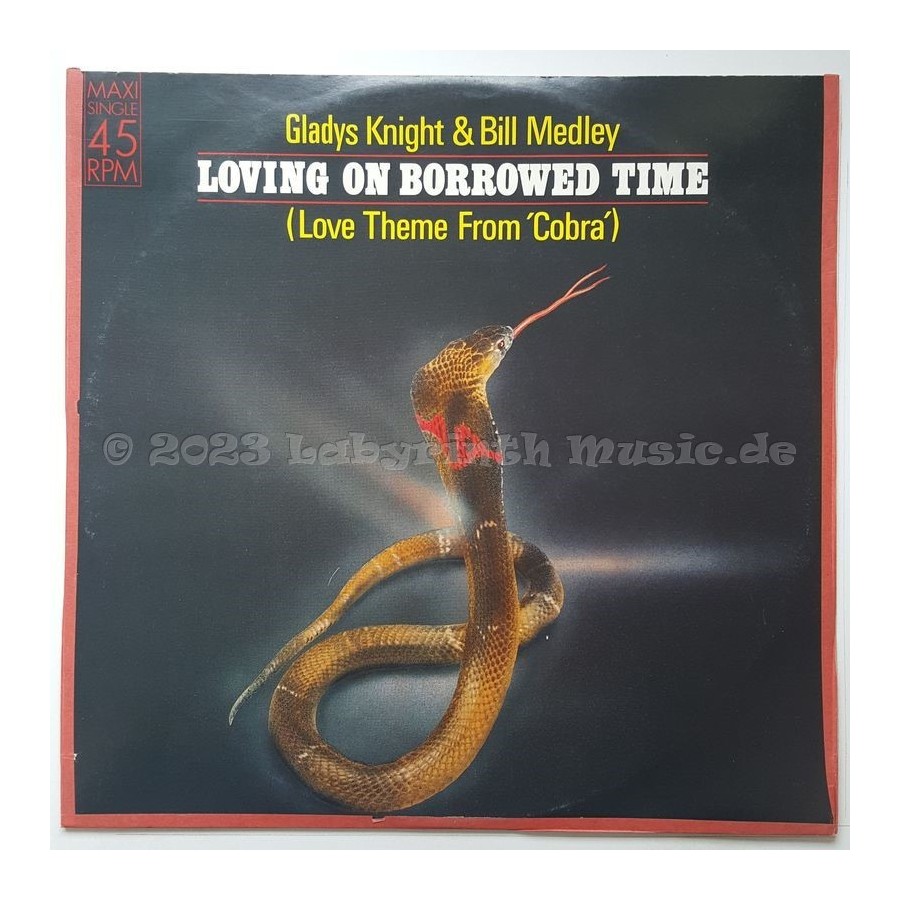 Gladys Knight & Bill Medley - Loving On Borrowed Time • 12" Vinyl Maxi - Labyrinth Music