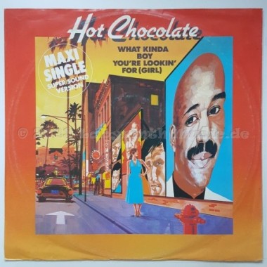 Hot Chocolate - What Kinda Boy You're Lookin' For • 12" Vinyl Maxi • EX - Labyrinth Music