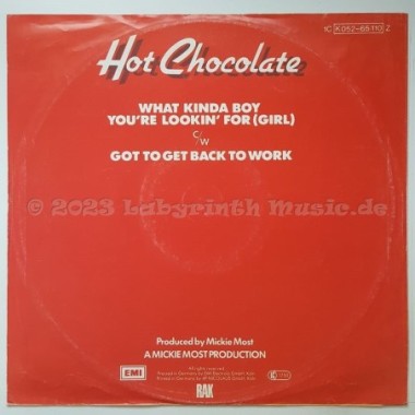 Hot Chocolate - What Kinda Boy You're Lookin' For • 12" Vinyl Maxi • EX - Labyrinth Music