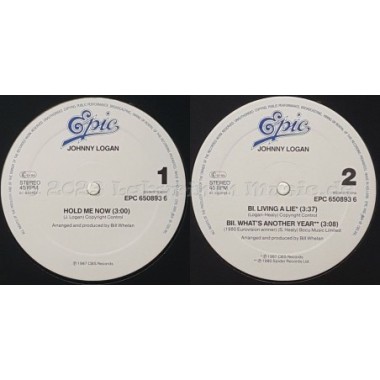 Johnny Logan - Hold Me Now • 12" Vinyl Maxi • NM - Labyrinth Music