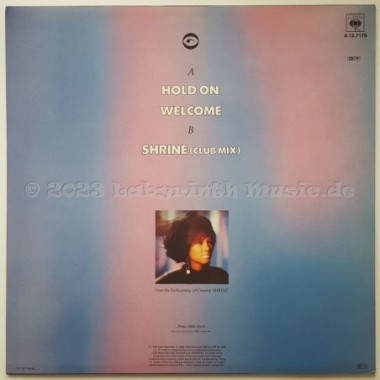 Dee C. Lee - Hold On • 12" Vinyl Maxi • MINT - Labyrinth Music