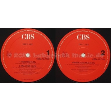 Dee C. Lee - Hold On • 12" Vinyl Maxi • MINT - Labyrinth Music