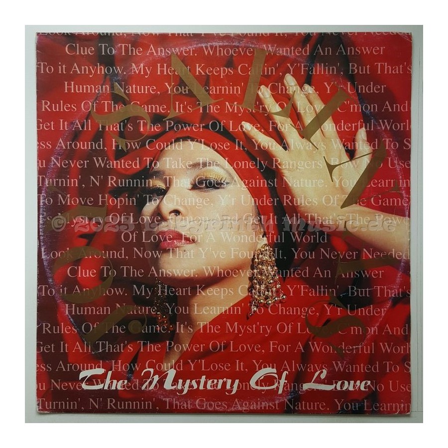 Joy Salinas - The Mystery Of Love • 12" Vinyl Maxi - Labyrinth Music