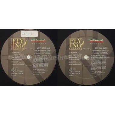 Joy Salinas - The Mystery Of Love • 12" Vinyl Maxi - Labyrinth Music