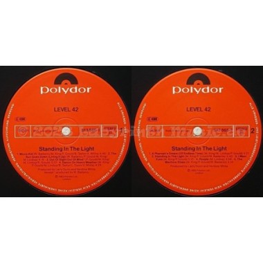 Level 42 - Standing In The Light • 12" Vinyl LP - Labyrinth Music