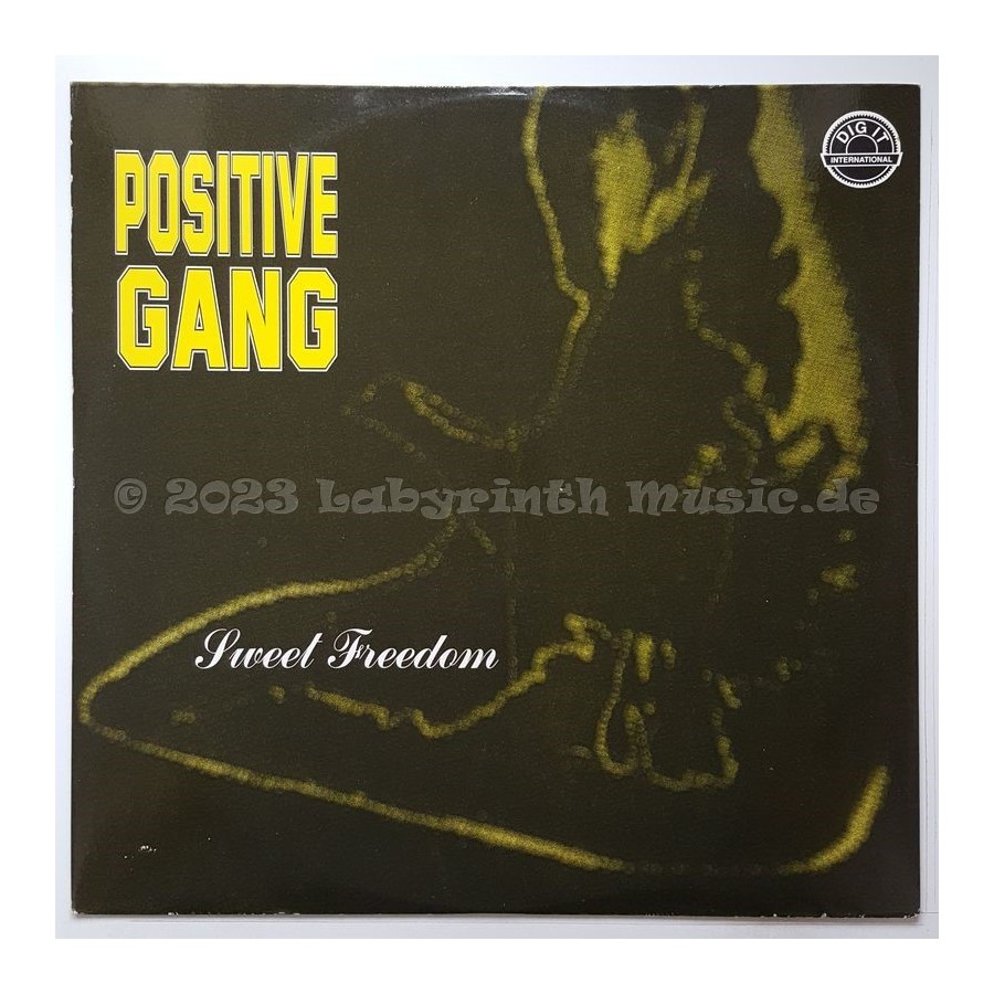 Positive Gang - Sweet Freedom • 12" Vinyl Maxi • EX - Labyrinth Music