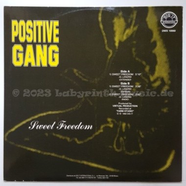Positive Gang - Sweet Freedom • 12" Vinyl Maxi • EX - Labyrinth Music