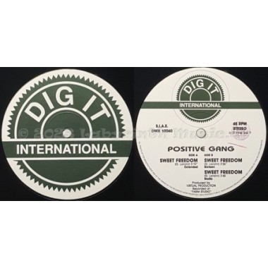 Positive Gang - Sweet Freedom • 12" Vinyl Maxi • EX - Labyrinth Music