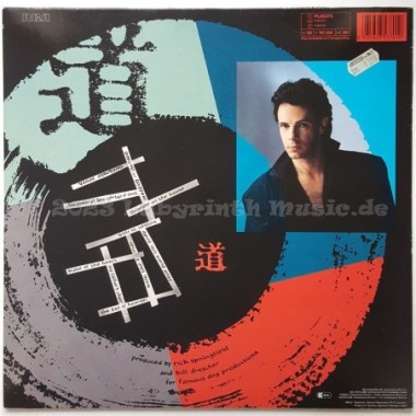 Rick Springfield - Tao • 12" Vinyl LP • EX - Labyrinth Music