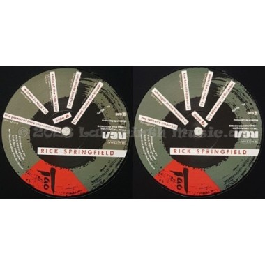 Rick Springfield - Tao • 12" Vinyl LP • EX - Labyrinth Music