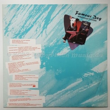 Rick Springfield - Tao • 12" Vinyl LP • EX - Labyrinth Music