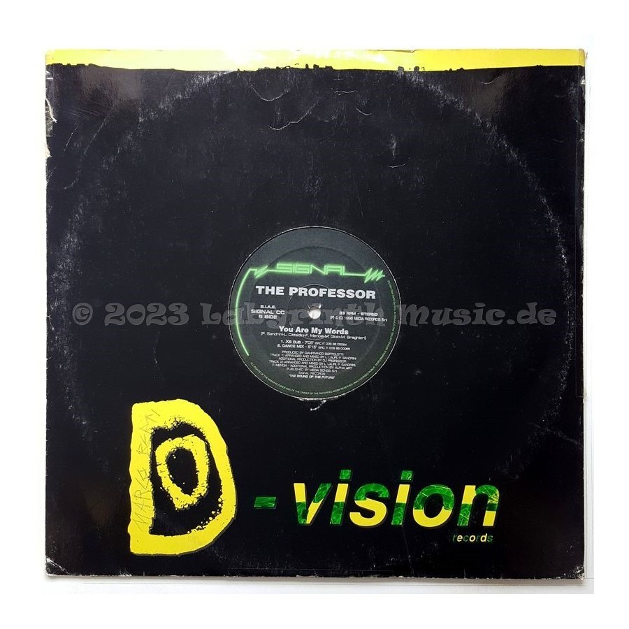 The Professor - You Are My Words • 12" Vinyl Maxi - Labyrinth Music