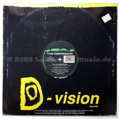 The Professor - You Are My Words • 12" Vinyl Maxi - Labyrinth Music