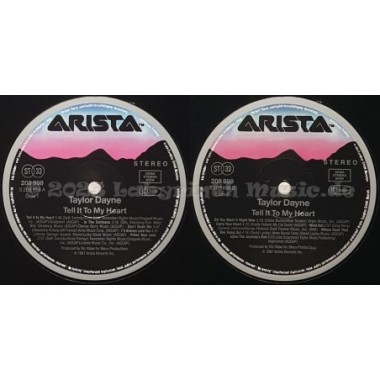 Taylor Dayne - Tell It To My Heart • 12" Vinyl LP • NM - Labyrinth Music