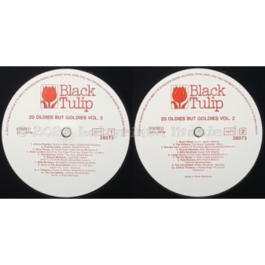 Various - 60 Oldies But Goldies • 12" Vinyl LP • EX - Labyrinth Music