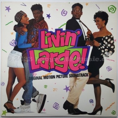 Various - Livin Large • 12" Vinyl LP • EX - Labyrinth Music