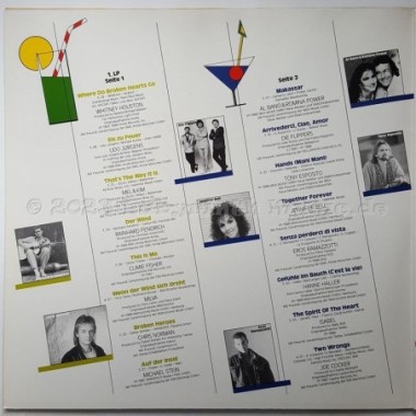 Various - Sommer-Schlager-Festival 1988 • 12" Vinyl LP • NM - Labyrinth Music