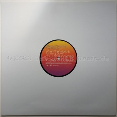 Different Gear vs. The Police - When The World Is Running Down (You Can't Go Wrong) • 12" Vinyl Maxi - Labyrinth Music
