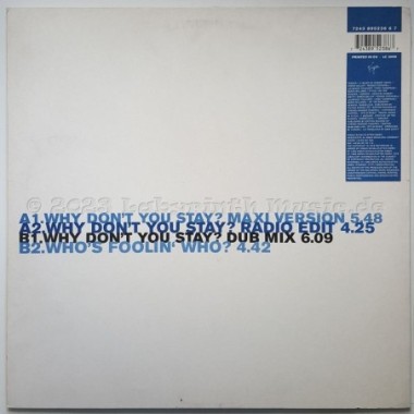101 Feat. Marvelous D. & Sandra Olajide - Why Don't You Stay • 12" Vinyl Maxi • EX - Labyrinth Music