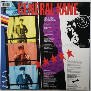 General Kane - Wide Open • 12" Vinyl LP • NM - Labyrinth Music