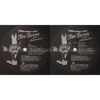 Jive Bunny And The Mastermixers - That's What I Like • 12" Vinyl Maxi - Labyrinth Music
