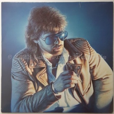 Peter Maffay - Sonne In Der Nacht • 12" Vinyl LP • EX - Labyrinth Music