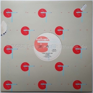Ulysses - Come Into My Life • 12" Vinyl Maxi • EX - Labyrinth Music