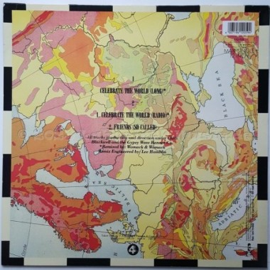 Womack & Womack - Celebrate The World • 12" Vinyl Maxi • EX - Labyrinth Music