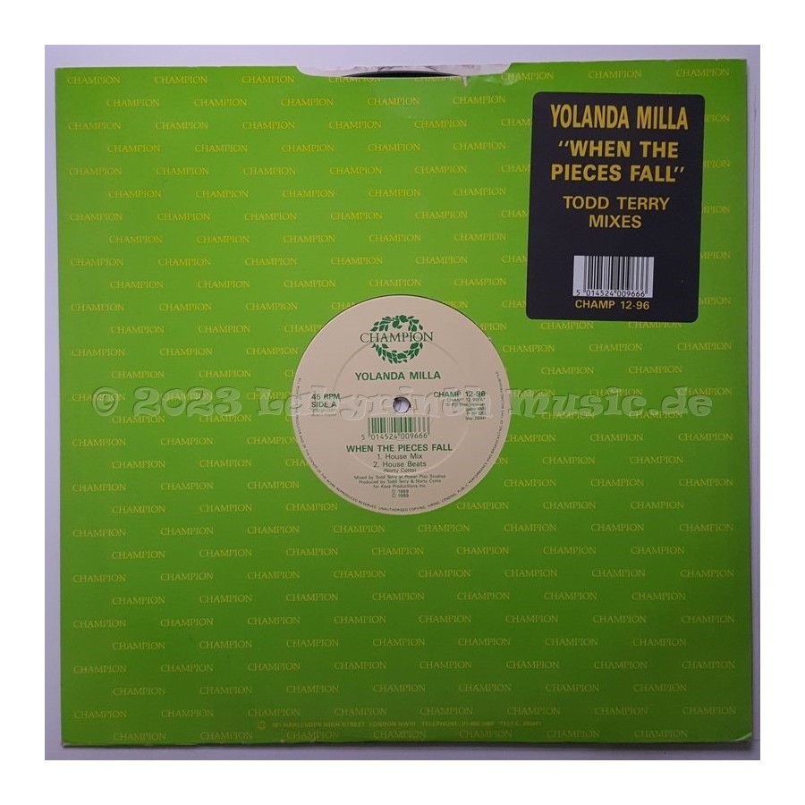 Yolanda Milla - When The Pieces Fall • 12" Vinyl Maxi • EX - Labyrinth Music