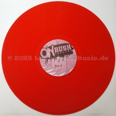 The Homefront - Sacrifice • 12" Vinyl LP • MINT - Labyrinth Music