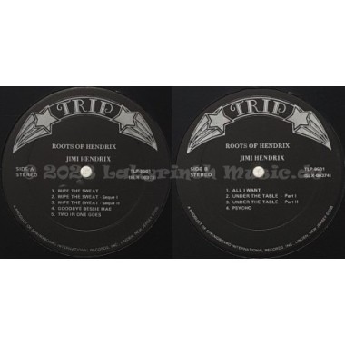 Jimi Hendrix - Roots Of Hendrix • 12" Vinyl LP • EX - Labyrinth Music