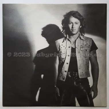 Peter Maffay - Revanche • 12" Vinyl LP - Labyrinth Music