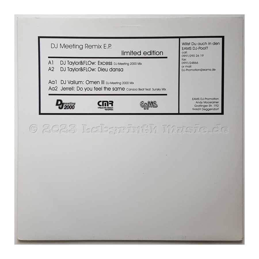 Various - DJ Meeting Remix E.P. • 12" Vinyl Maxi • EX - Labyrinth Music