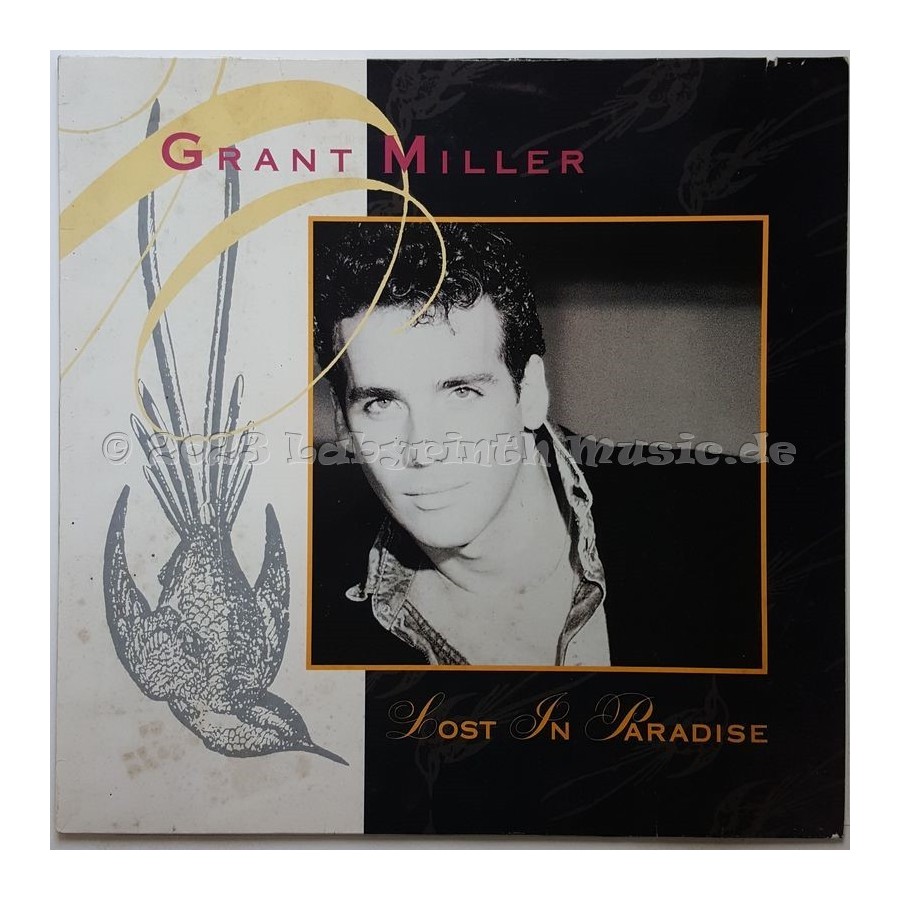 Grant Miller - Lost In Paradise • 12" Vinyl Maxi • EX - Labyrinth Music