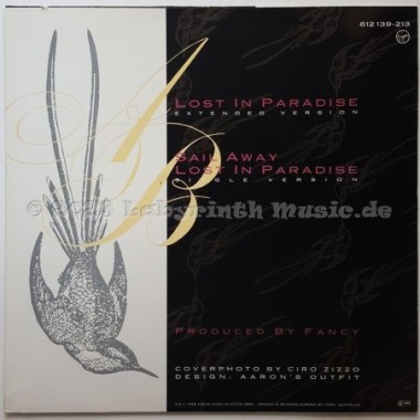 Grant Miller - Lost In Paradise • 12" Vinyl Maxi • EX - Labyrinth Music