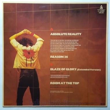 The Alarm - Absolute Reality • 12" Vinyl Maxi • MINT - Labyrinth Music