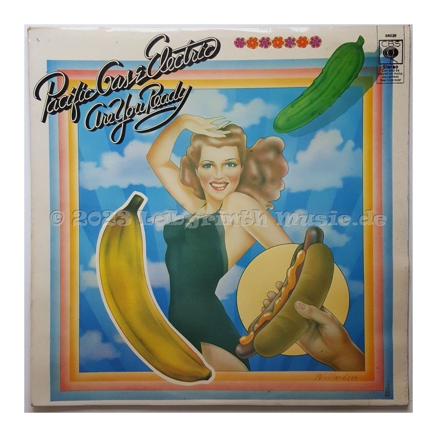 Pacific Gas & Electric - Are You Ready • 12" Vinyl LP - Labyrinth Music