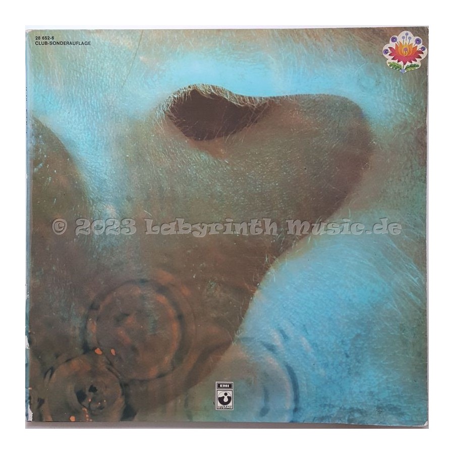 Pink Floyd - Meddle • 12" Vinyl LP - Labyrinth Music