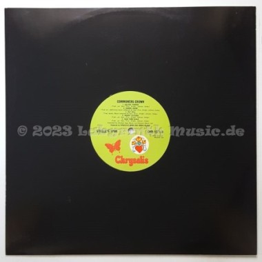 Steeleye Span - Commoners Crown • 12" Vinyl LP - Labyrinth Music