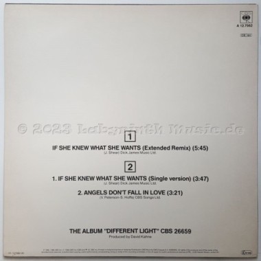 Bangles - If She Knew What She Wants • 12" Vinyl Maxi • NM - Labyrinth Music