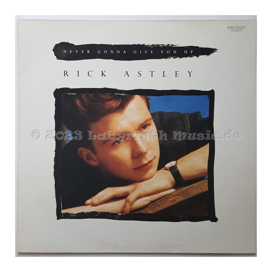 Rick Astley - Never Gonna Give You Up • 12" Vinyl Maxi • EX - Labyrinth Music