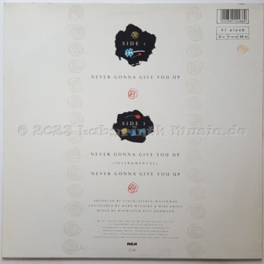 Rick Astley - Never Gonna Give You Up • 12" Vinyl Maxi • EX - Labyrinth Music