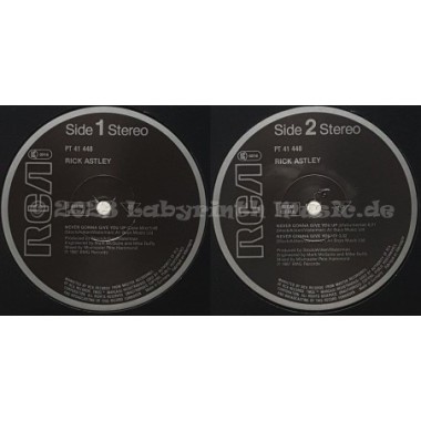 Rick Astley - Never Gonna Give You Up • 12" Vinyl Maxi • EX - Labyrinth Music