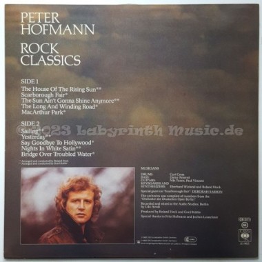 Peter Hofmann - Rock Classics • 12" Vinyl LP • EX - Labyrinth Music