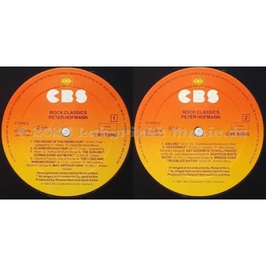 Peter Hofmann - Rock Classics • 12" Vinyl LP • EX - Labyrinth Music