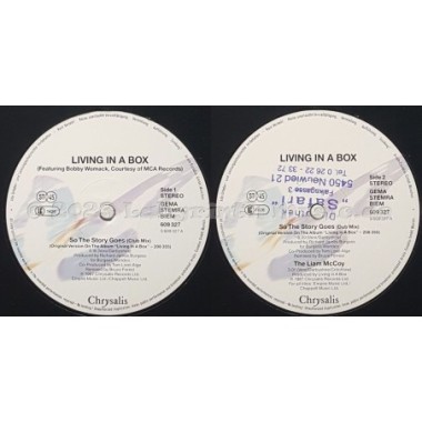 Living In A Box - So The Story Goes • 12" Vinyl Maxi • EX - Labyrinth Music