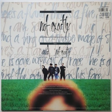 Rainbirds - Not Exactly • 12" Vinyl Maxi • EX - Labyrinth Music